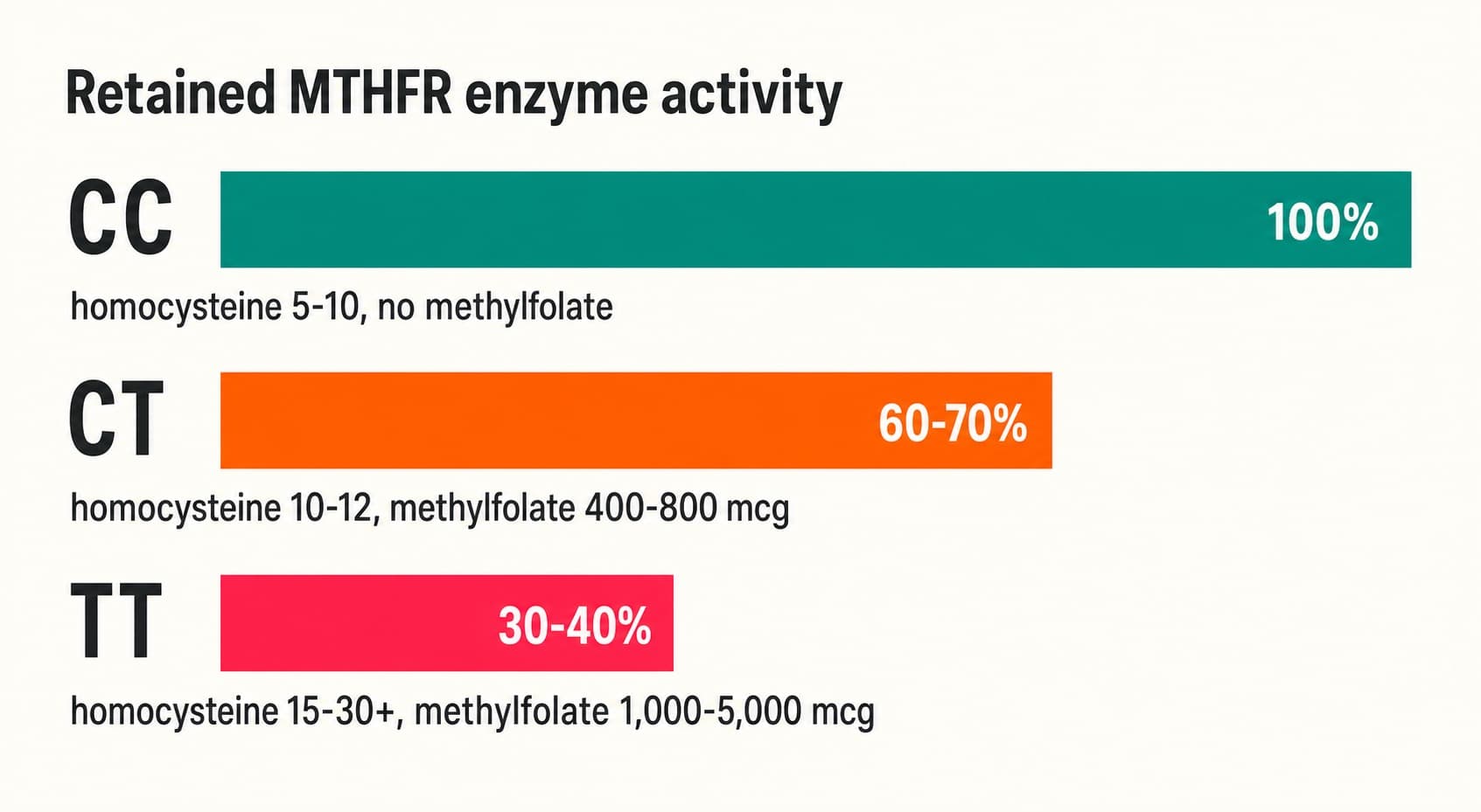 Three genotypes. CC retains 100 percent of normal MTHFR enzyme activity and untreated homocysteine of 5 to 10 micromoles per litre. CT retains 60 to 70 percent and runs 10 to 12. TT retains only 30 to 40 percent and runs 15 to 30 or higher, above the target of 10. Methylfolate bypasses the impaired enzyme, with dose rising as retained activity falls.