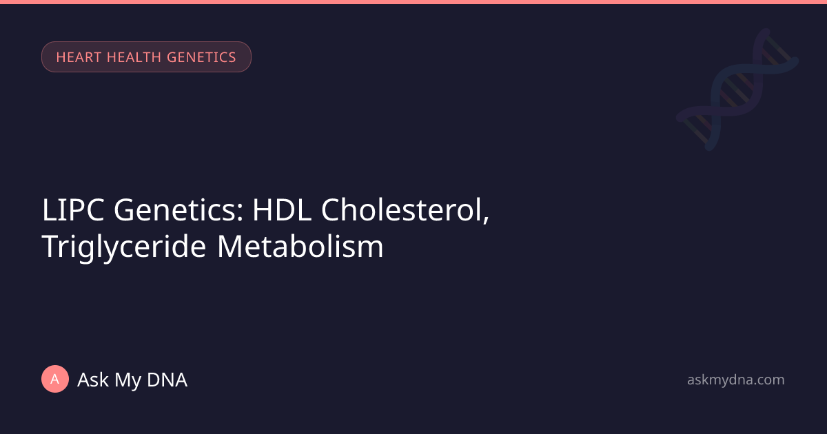 LIPC Genetics: HDL Cholesterol, Triglyceride Metabolism