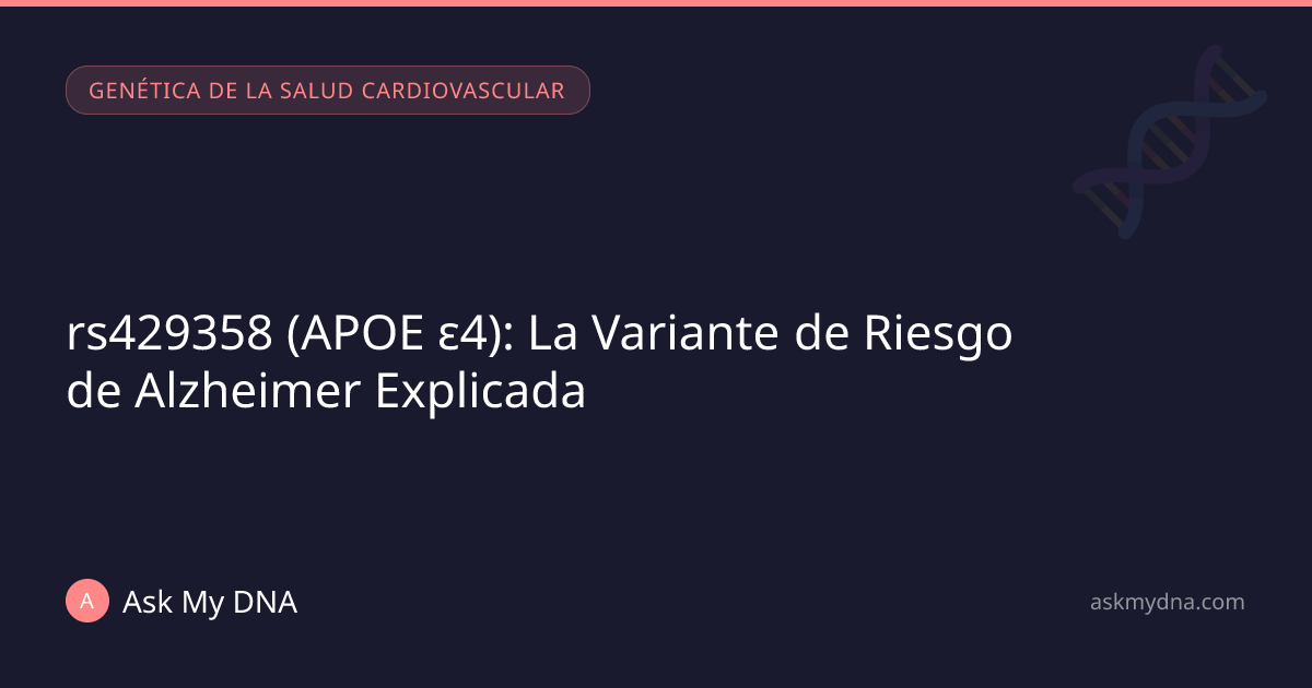 rs429358 APOE e4: Guía Variante Riesgo Alzheimer
